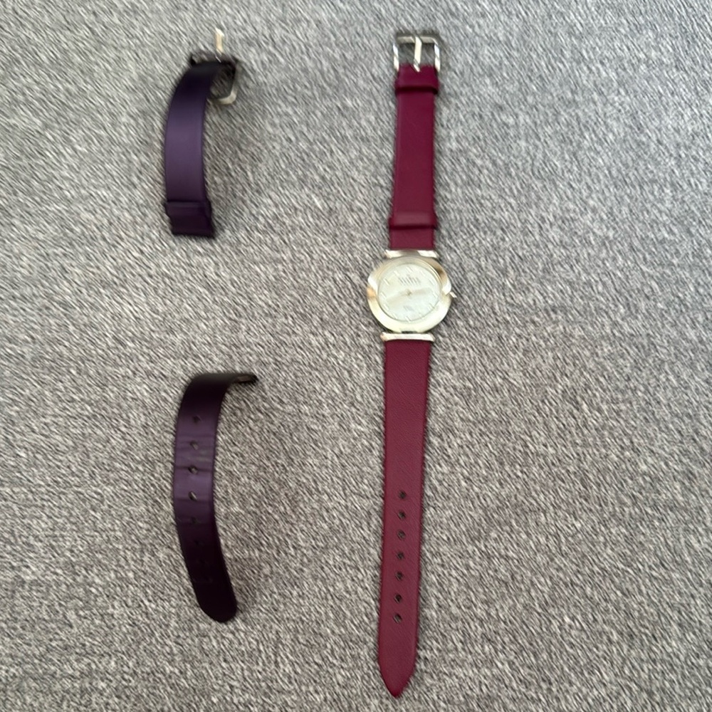 Skagen Woman’s Watch